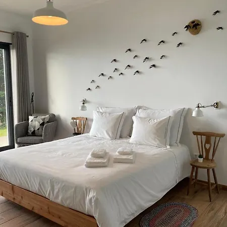 Casa De Santo Amaro Apartment